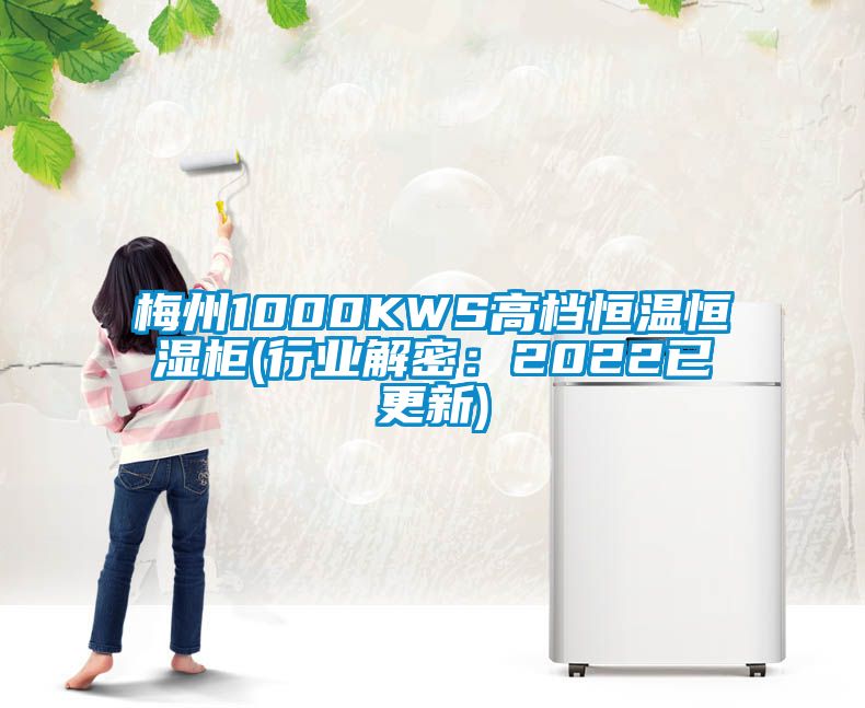 梅州1000KWS高档恒温恒湿柜(行业解密：2022已更新)