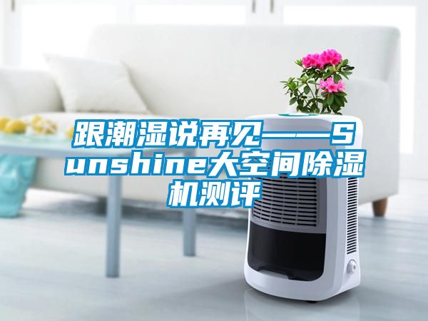跟潮湿说再见——Sunshine大空间麻豆视频黄网站测评
