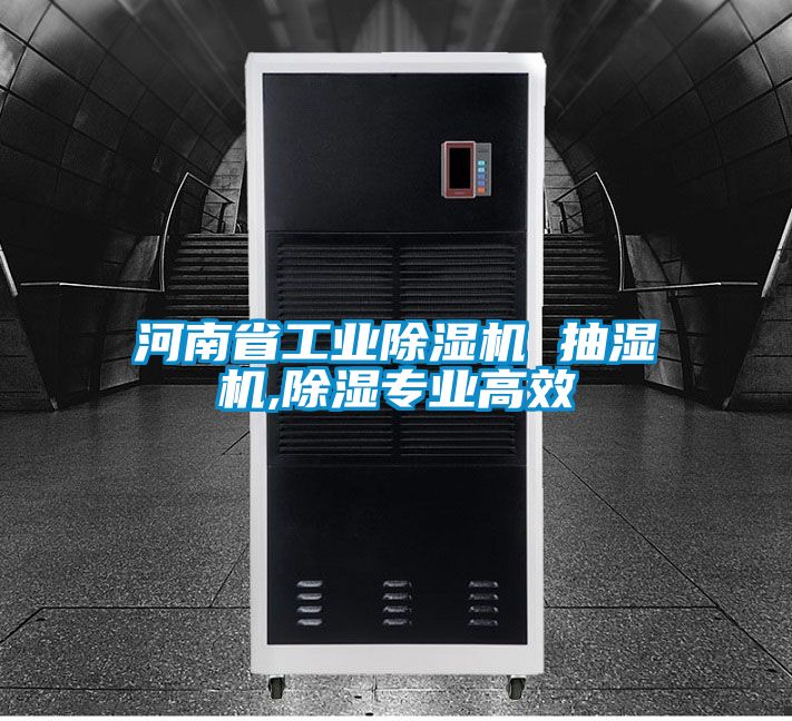 河南省工业麻豆视频黄网站 抽湿机,除湿专业高效