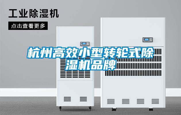 杭州高效小型转轮式麻豆视频黄网站品牌