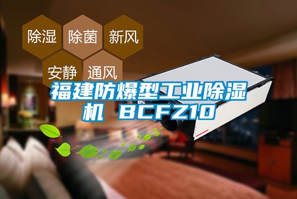福建防爆型工业麻豆视频黄网站 BCFZ10