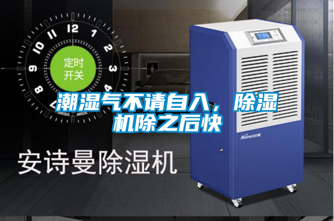 潮湿气不请自入，麻豆视频黄网站除之后快