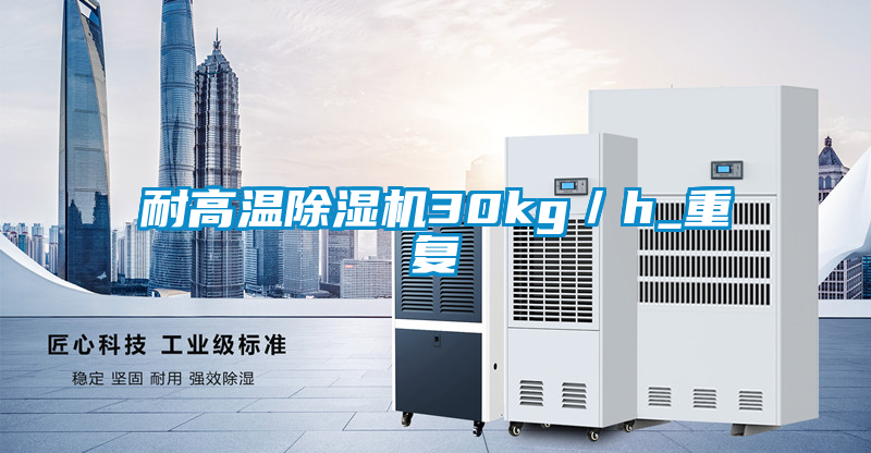 耐高温麻豆视频黄网站30kg／h_重复