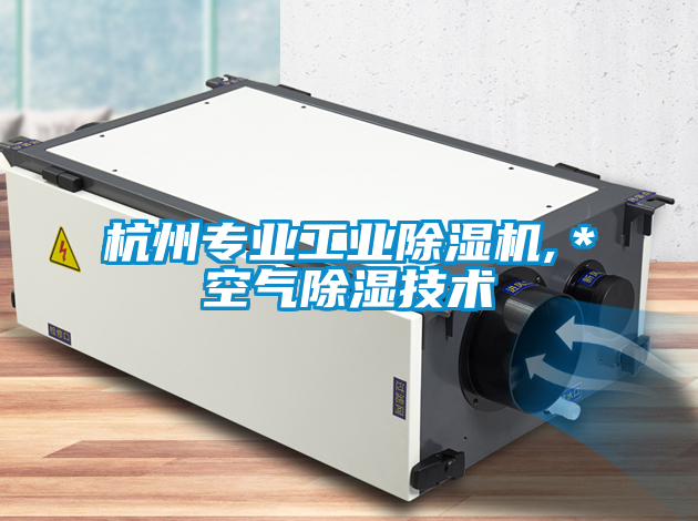 杭州专业工业麻豆视频黄网站,＊空气除湿技术