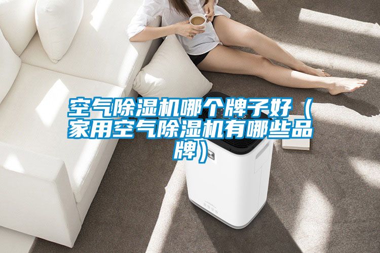 空气麻豆视频黄网站哪个牌子好（家用空气麻豆视频黄网站有哪些品牌）