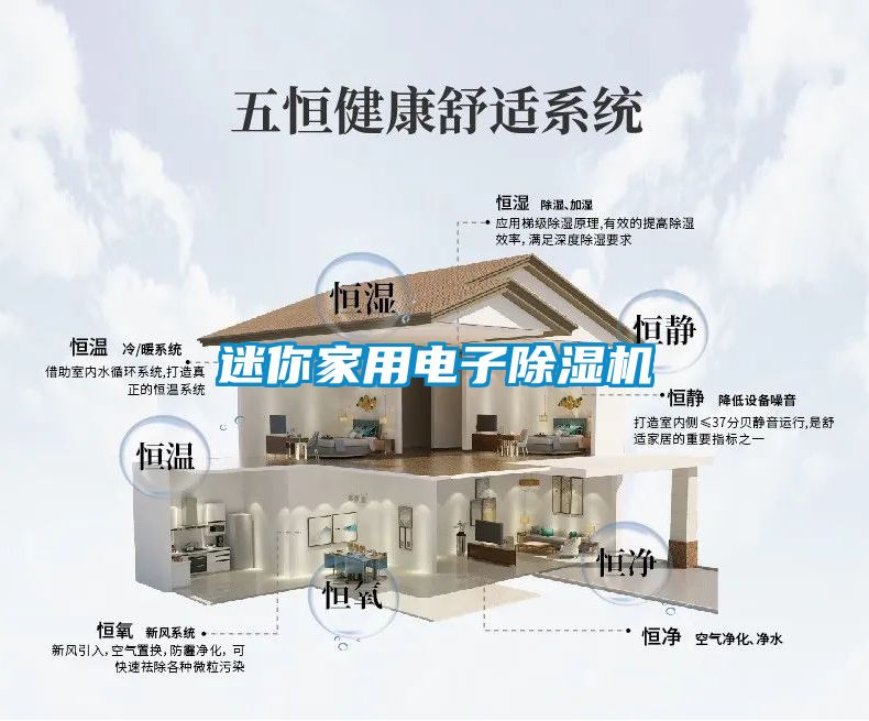 迷你家用电子麻豆视频黄网站