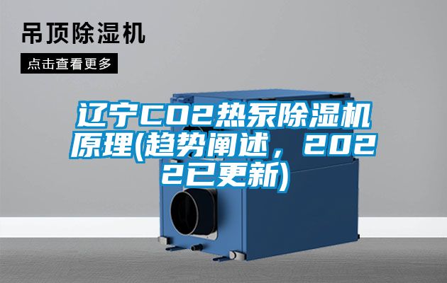 辽宁CO2热泵麻豆视频黄网站原理(趋势阐述，2022已更新)