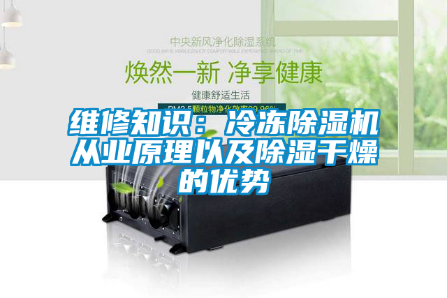 维修知识：冷冻麻豆视频黄网站从业原理以及除湿干燥的优势