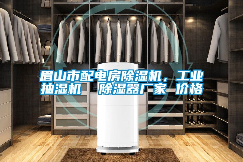 眉山市配电房麻豆视频黄网站，工业抽湿机  除湿器厂家 价格