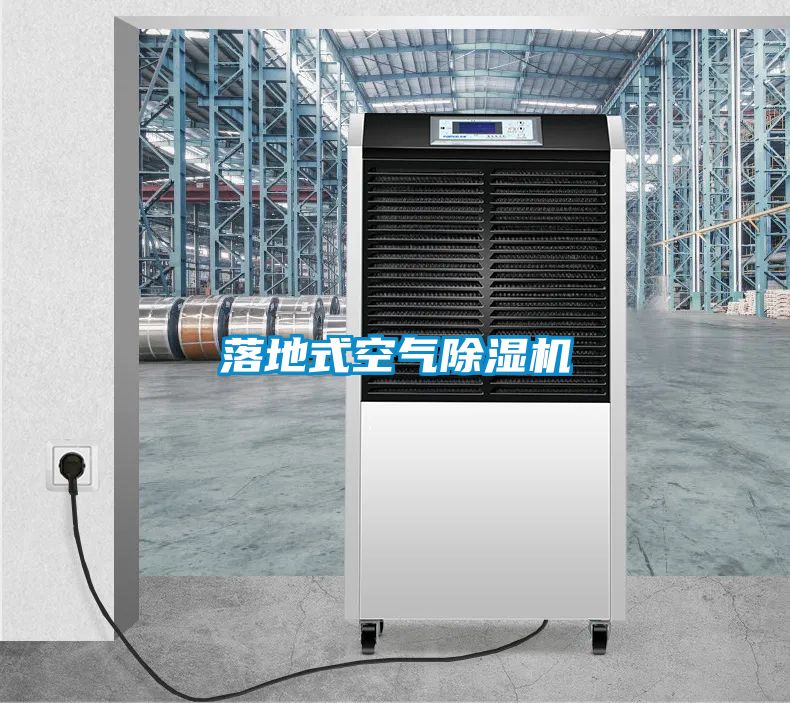 落地式空气麻豆视频黄网站