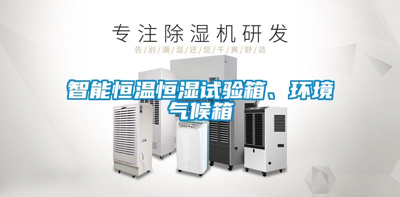 智能恒温恒湿试验箱、环境气候箱