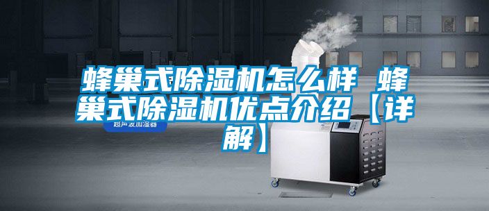 蜂巢式麻豆视频黄网站怎么样 蜂巢式麻豆视频黄网站优点介绍【详解】