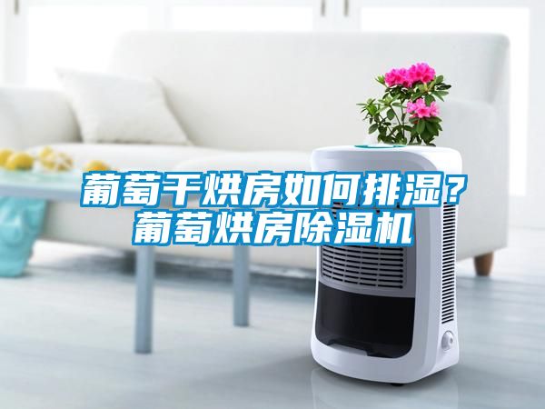 葡萄干烘房如何排湿？葡萄烘房麻豆视频黄网站