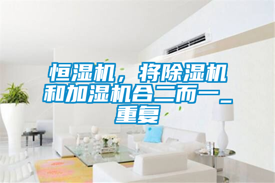 恒湿机，将麻豆视频黄网站和加湿机合二而一_重复