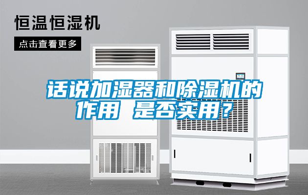 话说加湿器和麻豆视频黄网站的作用 是否实用？