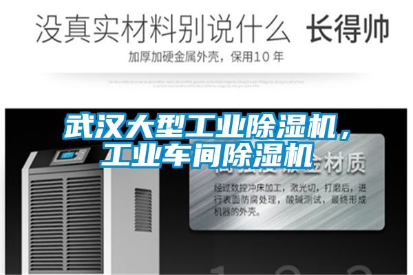 武汉大型工业麻豆视频黄网站，工业车间麻豆视频黄网站