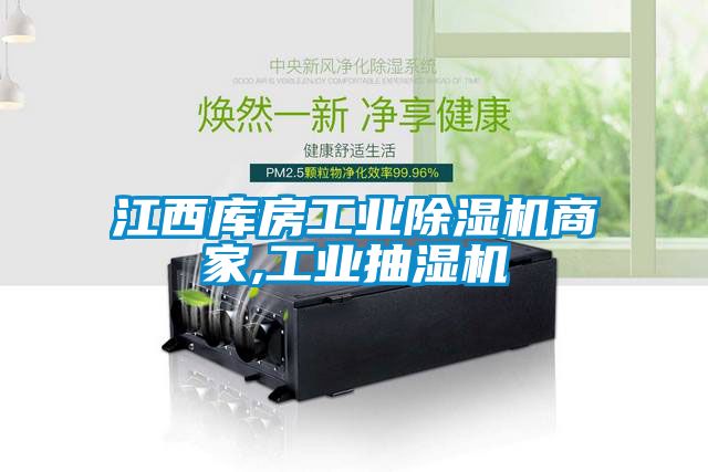 江西库房工业麻豆视频黄网站商家,工业抽湿机