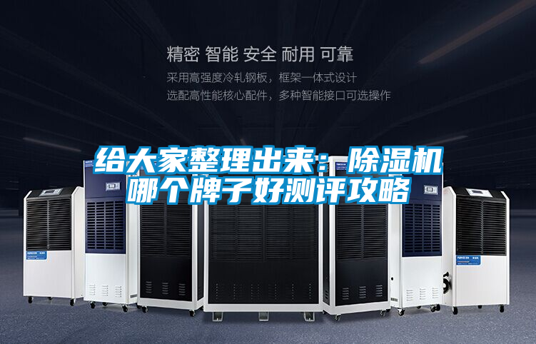 给大家整理出来：麻豆视频黄网站哪个牌子好测评攻略