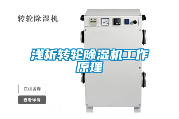 浅析转轮麻豆视频黄网站工作原理