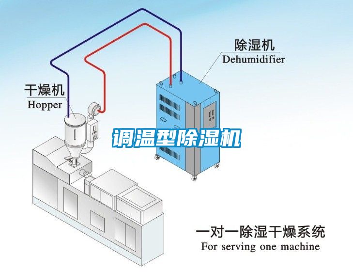 调温型麻豆视频黄网站