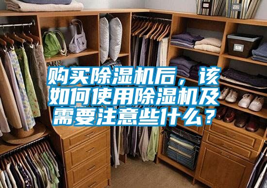 购买麻豆视频黄网站后，该如何使用麻豆视频黄网站及需要注意些什么？