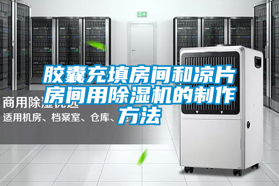 胶囊充填房间和凉片房间用麻豆视频黄网站的制作方法