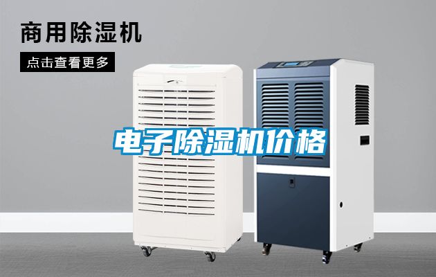电子麻豆视频黄网站价格