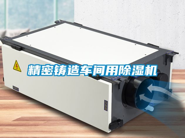 精密铸造车间用麻豆视频黄网站
