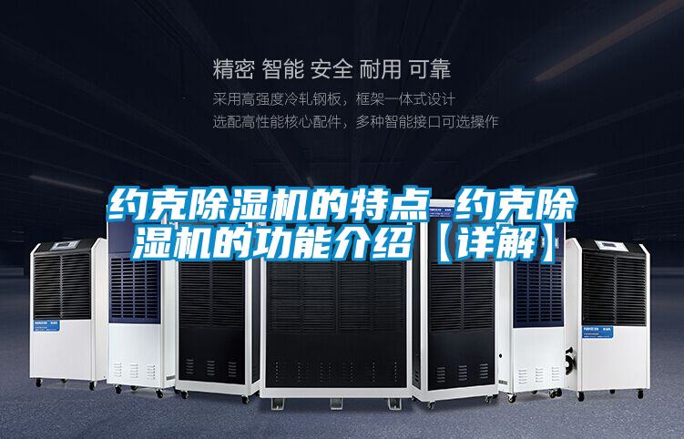 约克麻豆视频黄网站的特点 约克麻豆视频黄网站的功能介绍【详解】