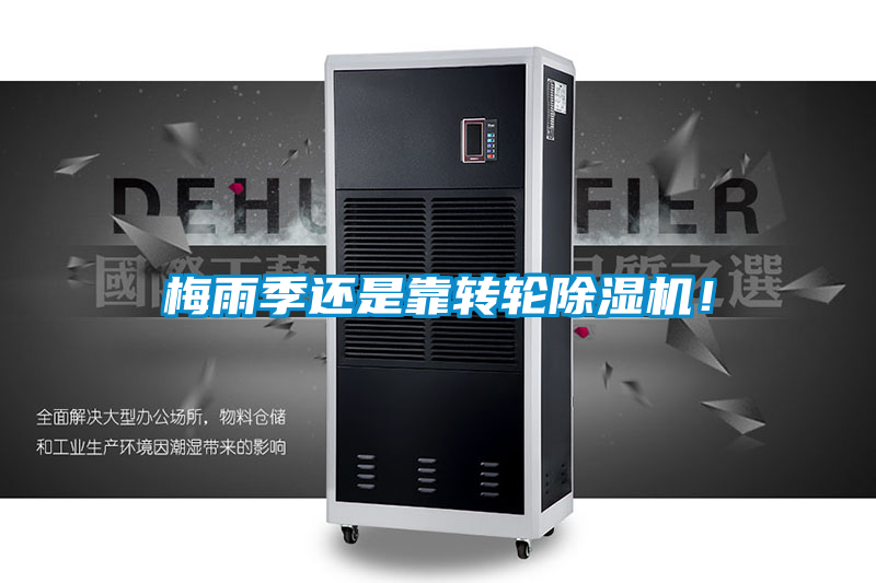 梅雨季还是靠转轮麻豆视频黄网站！