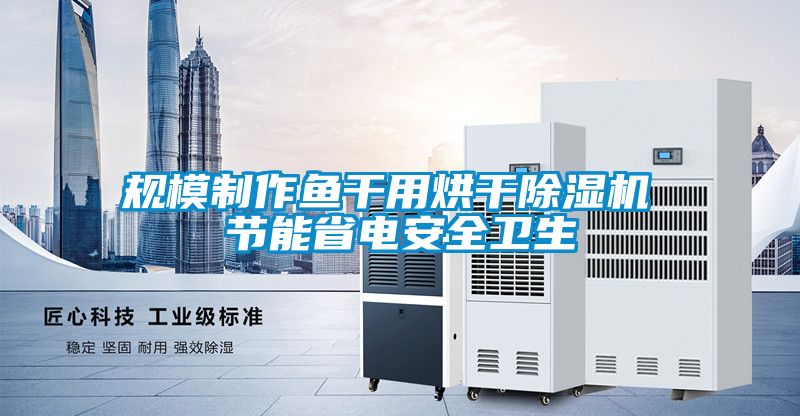 规模制作鱼干用烘干麻豆视频黄网站 节能省电安全卫生