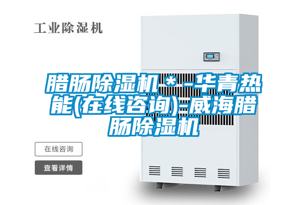 腊肠麻豆视频黄网站＊-华青热能(在线咨询)-威海腊肠麻豆视频黄网站