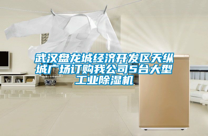 武汉盘龙城经济开发区天纵城广场订购我公司5台大型工业麻豆视频黄网站