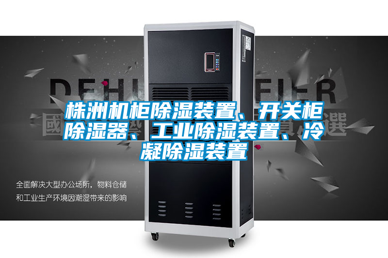 株洲机柜除湿装置、开关柜除湿器、工业除湿装置、冷凝除湿装置