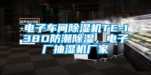 电子车间麻豆视频黄网站TE-138D防潮除湿，电子厂抽湿机厂家