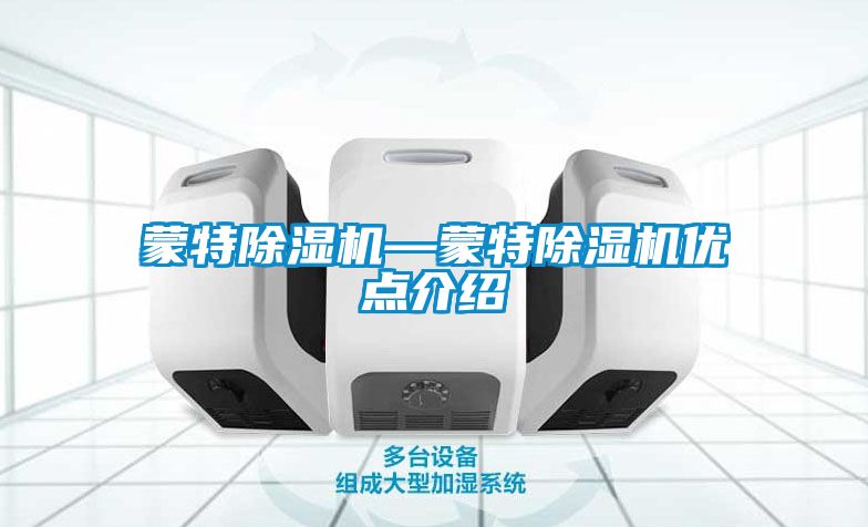 蒙特麻豆视频黄网站—蒙特麻豆视频黄网站优点介绍