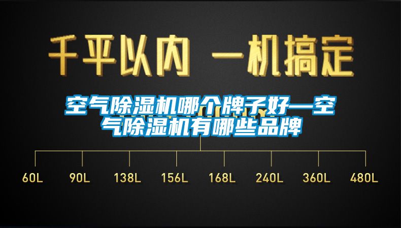 空气麻豆视频黄网站哪个牌子好—空气麻豆视频黄网站有哪些品牌