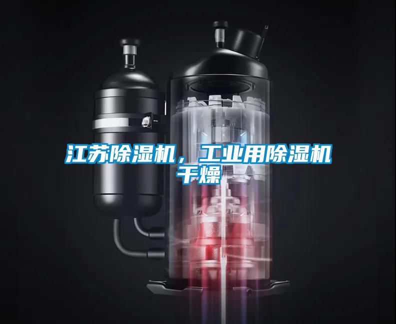 江苏麻豆视频黄网站，工业用麻豆视频黄网站干燥