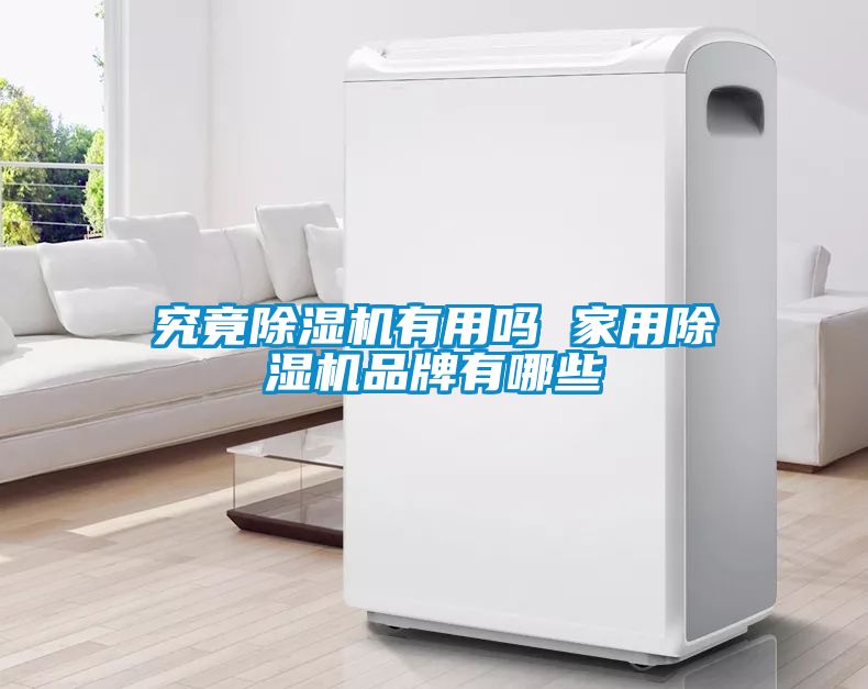 究竟麻豆视频黄网站有用吗 家用麻豆视频黄网站品牌有哪些