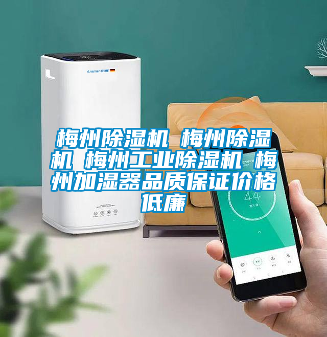 梅州麻豆视频黄网站☆梅州麻豆视频黄网站☆梅州工业麻豆视频黄网站☆梅州加湿器品质保证价格低廉