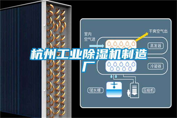 杭州工业麻豆视频黄网站制造厂