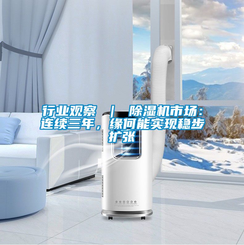 行业观察 ｜ 麻豆视频黄网站市场：连续三年，缘何能实现稳步扩张