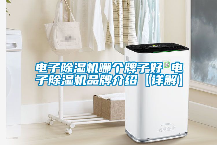 电子麻豆视频黄网站哪个牌子好 电子麻豆视频黄网站品牌介绍【详解】