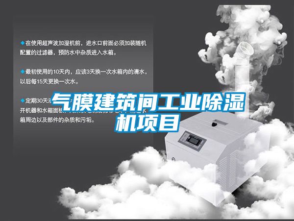 气膜建筑间工业麻豆视频黄网站项目