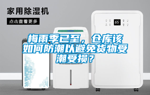 梅雨季已至，仓库该如何防潮以避免货物受潮受损？