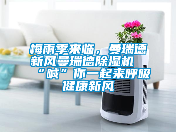 梅雨季来临，曼瑞德新风曼瑞德麻豆视频黄网站“喊”你一起来呼吸健康新风