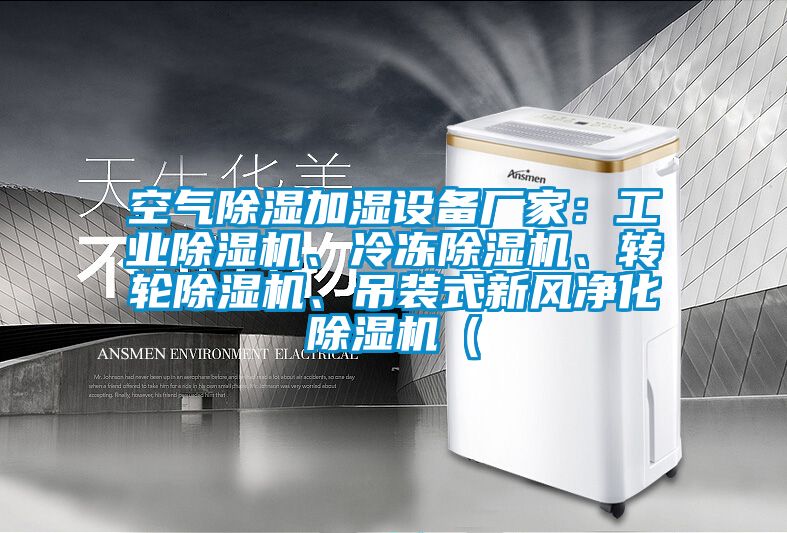 空气除湿加湿设备厂家：工业麻豆视频黄网站、冷冻麻豆视频黄网站、转轮麻豆视频黄网站、吊装式新风净化麻豆视频黄网站（