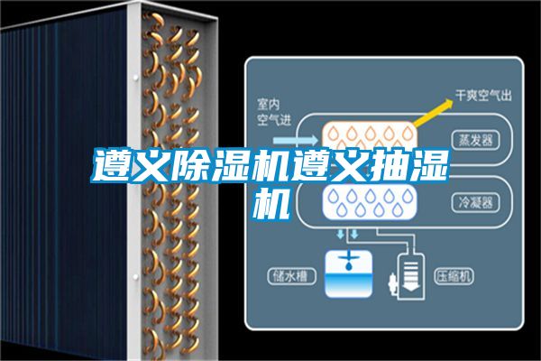 遵义麻豆视频黄网站遵义抽湿机