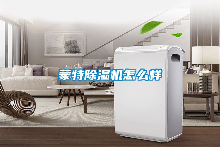 蒙特麻豆视频黄网站怎么样