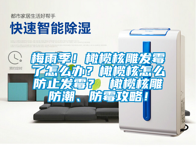 梅雨季！橄榄核雕发霉了怎么办？橄榄核怎么防止发霉？ 橄榄核雕防潮、防霉攻略！